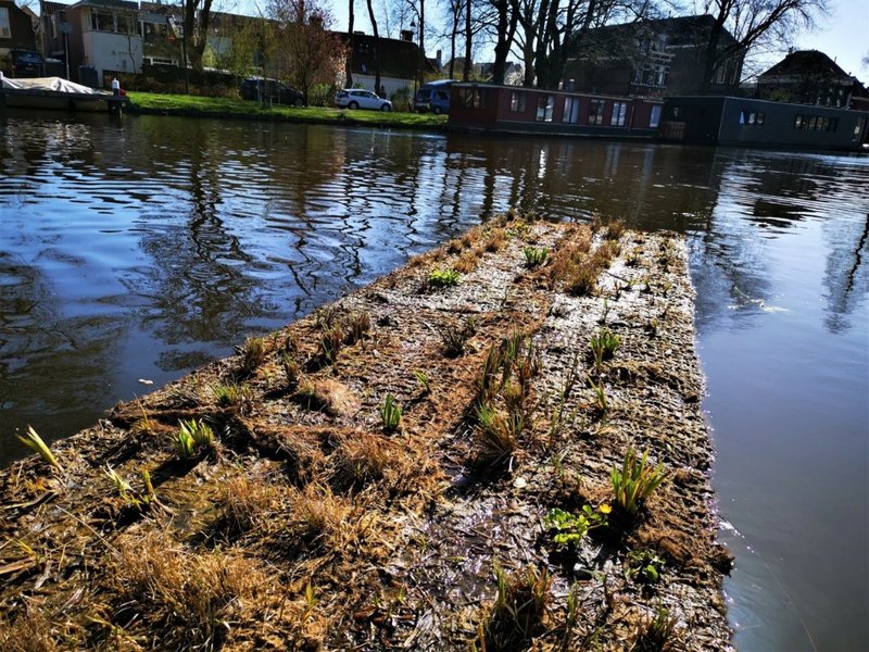 Singelpark-drijvende-tuin